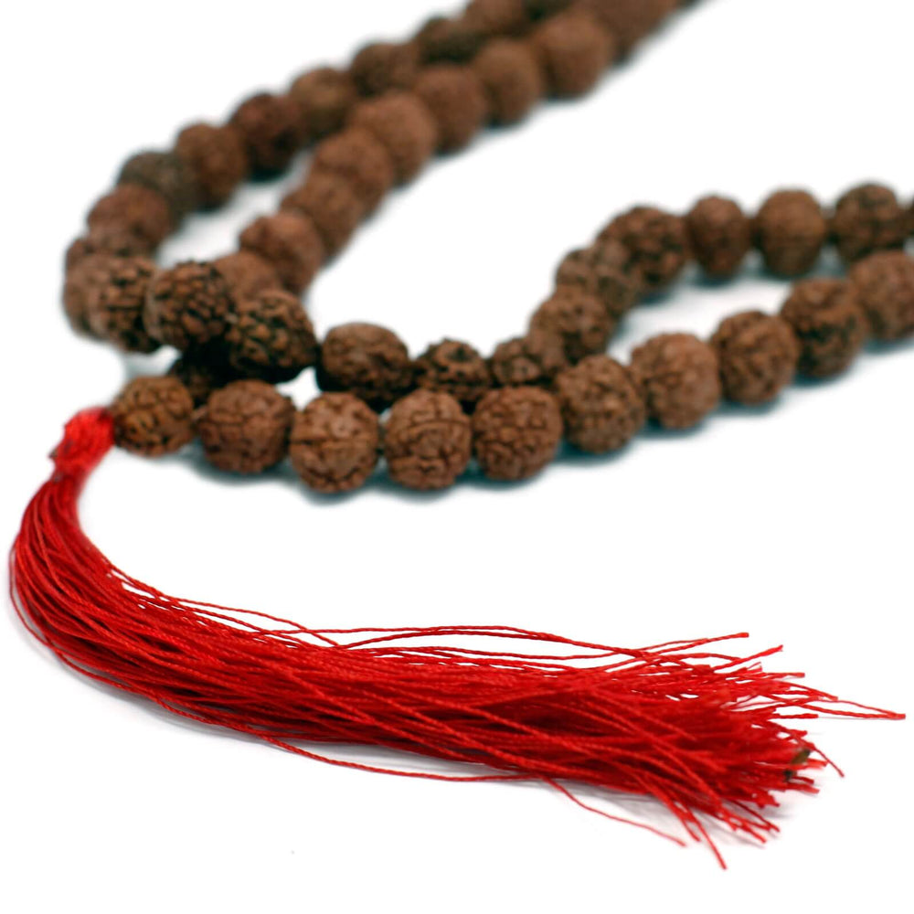 
                  
                    Japamala de Rudraksha Marrom 108 Contas
                  
                